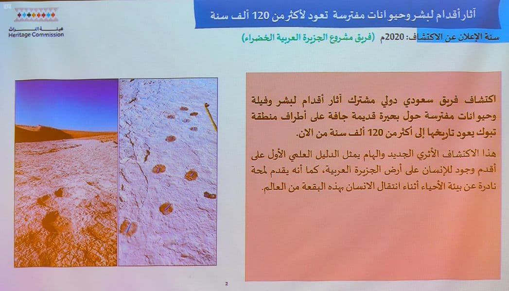 كشف أثري سعودي.. آثار لبشر وفيلة وحيوانات مفترسة تعود لأكثر من 120 ألف سنة