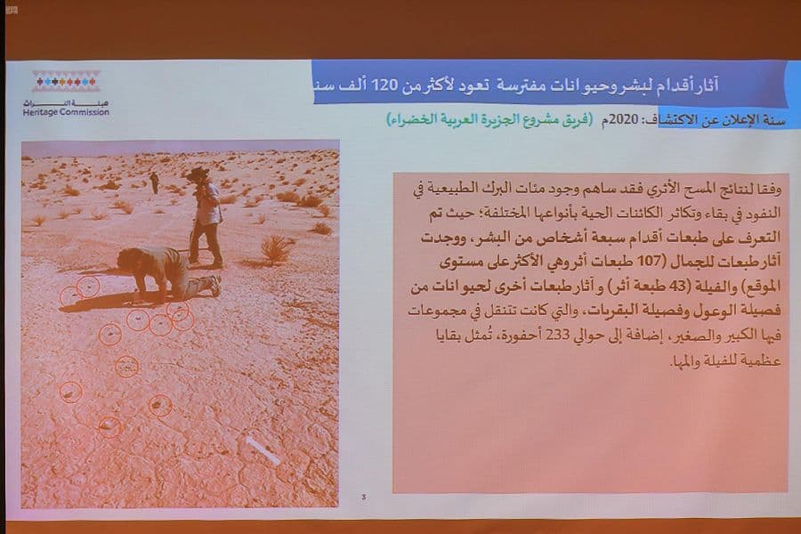 كشف أثري سعودي.. آثار لبشر وفيلة وحيوانات مفترسة تعود لأكثر من 120 ألف سنة