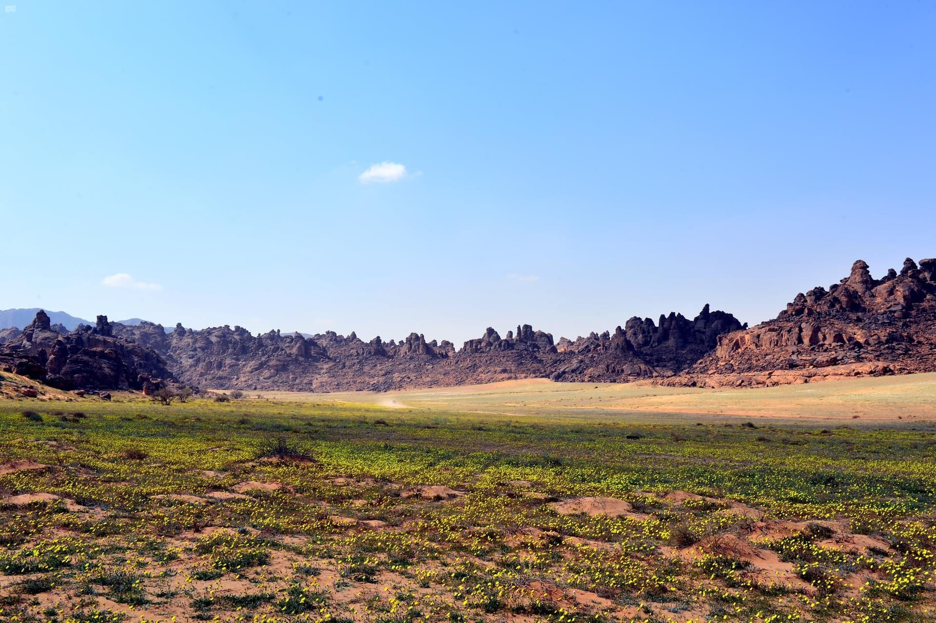 قصدها الرحالة الأوروبيون .. "جبال المسمى " من كنوز الطبيعة في حائل