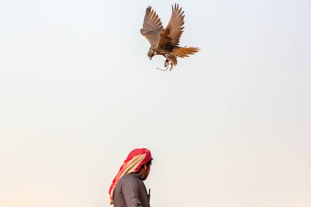 جانب من فعاليات النسخة السابقة من المهرجان."واس"