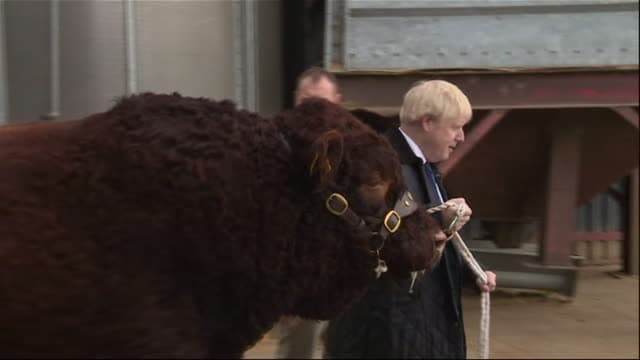 المزارعون البريطانيون يواجهون فوضى بريكست