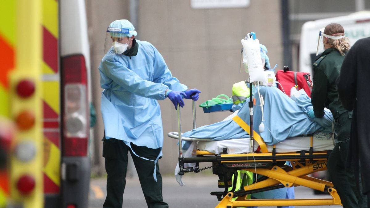 تراقب الصحة العالمية انتشار نوعين آخرين ظهرا في البرازيل.