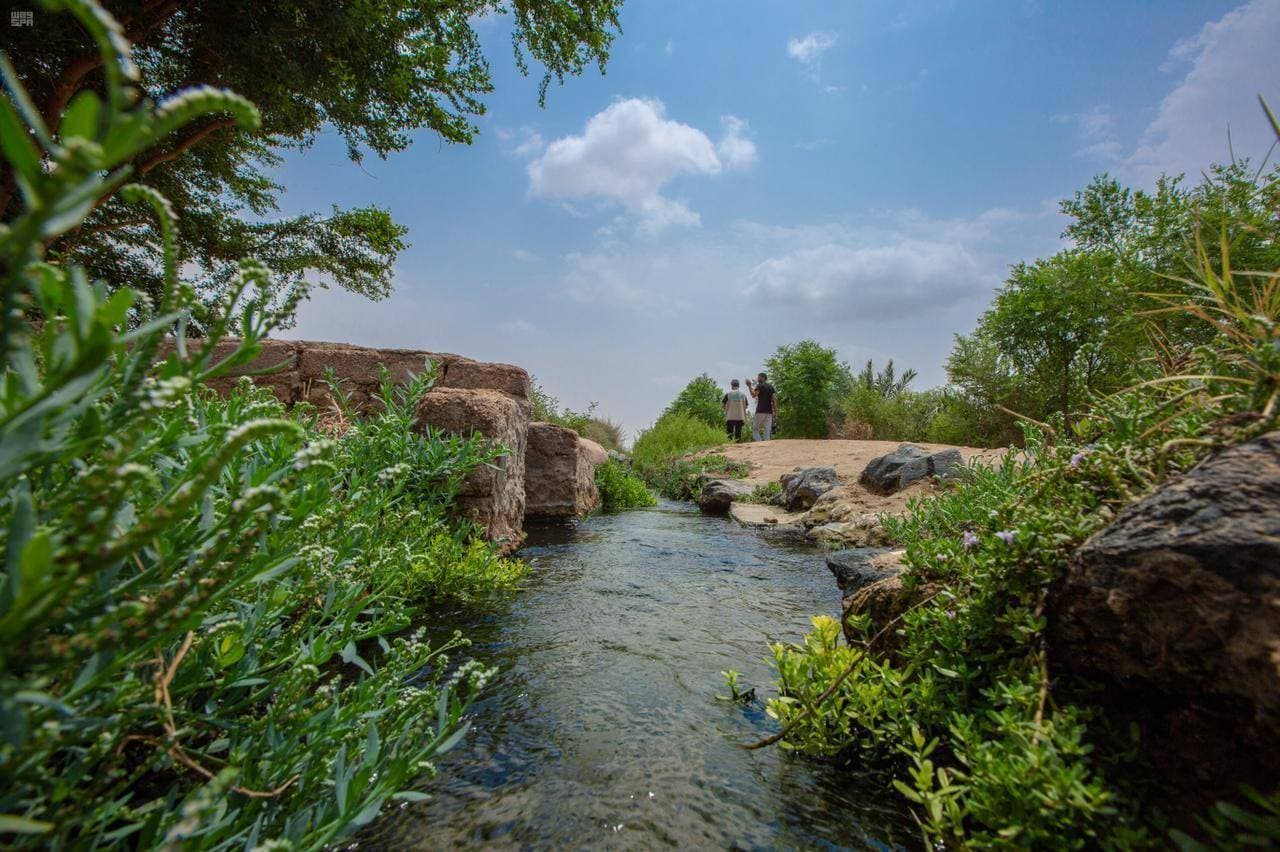 تتضمن "السياحة الريفية" عديد من الأنشطة والتجارب المختلفة."واس"
