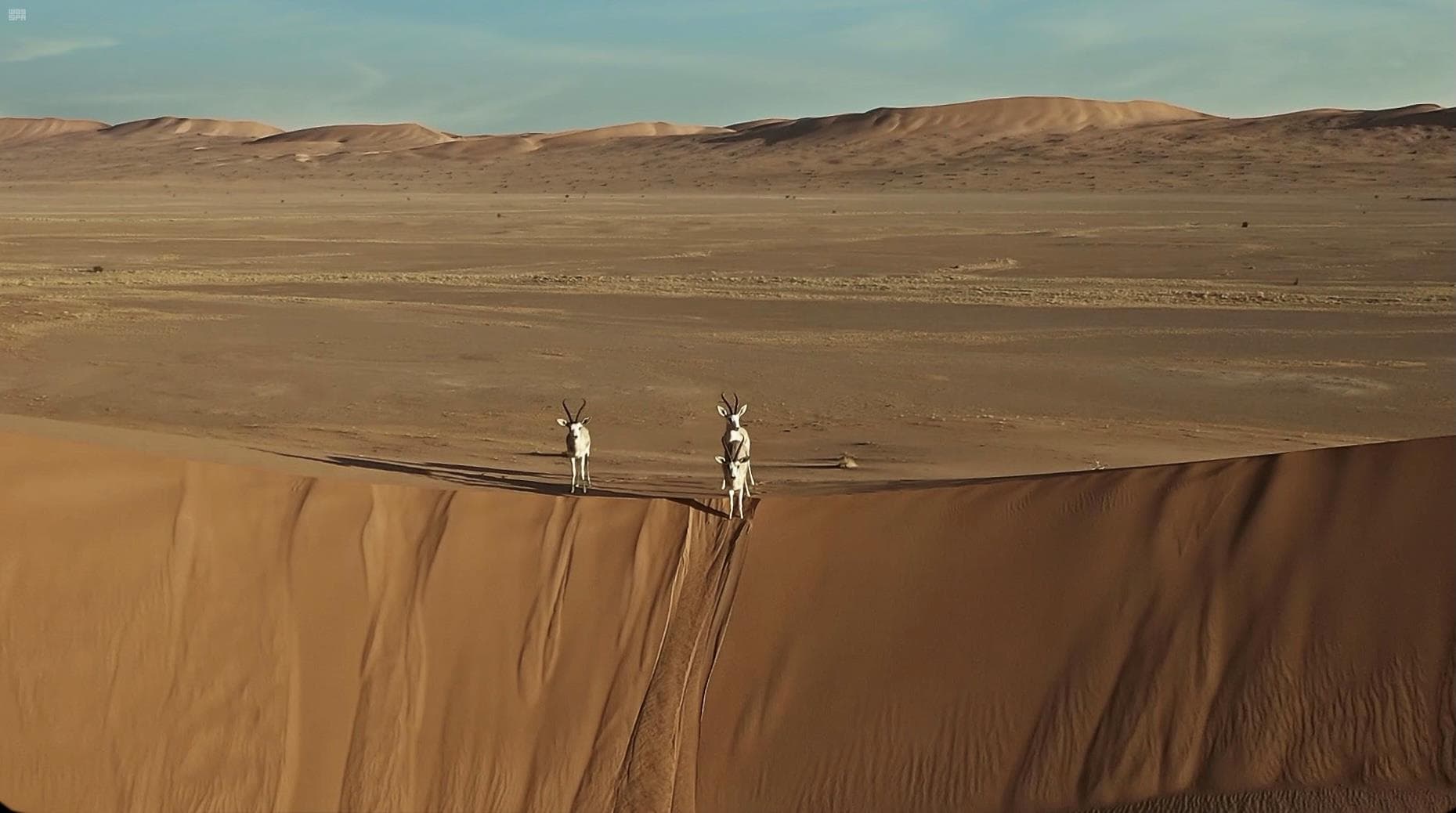 محمية بني معارض كنز الطبيعة في الربع الخالي