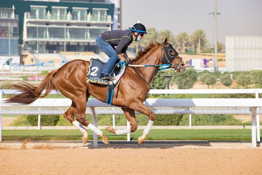 الفارس الامريكي نيكس قو خلال التدريبات الصباحية.
مركز "كأس السعودية" الإعلامي