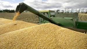 توريد الكمية المطلوبة من القمح تأتي عبر استثمارات "سالك" في كل من أوكرانيا وأستراليا وكندا.