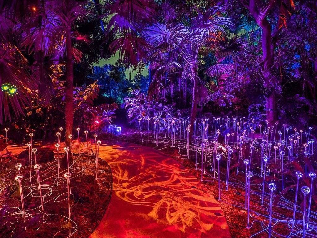 تشتمل احتفالية "نور الرياض" على 60 عملا فنيا.