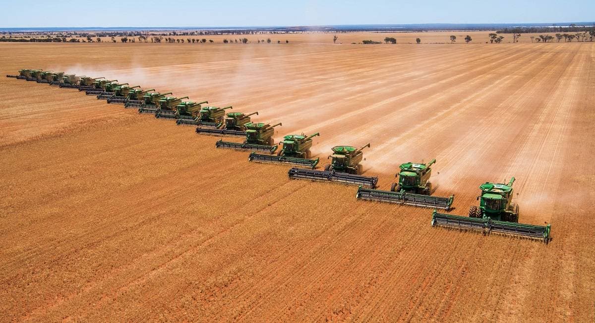 من المرجح أن يرتفع الإنتاج العالمي للقمح وأن يسجل رقما قياسيا جديدا.