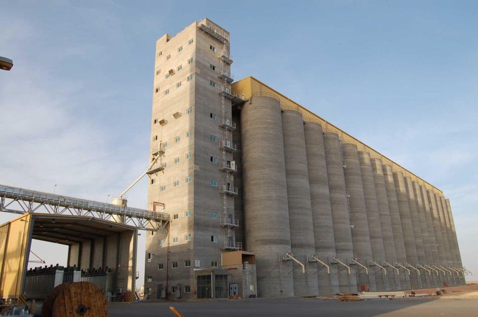 طرح وترسية المزايدة على الشعير للقطاع الخاص