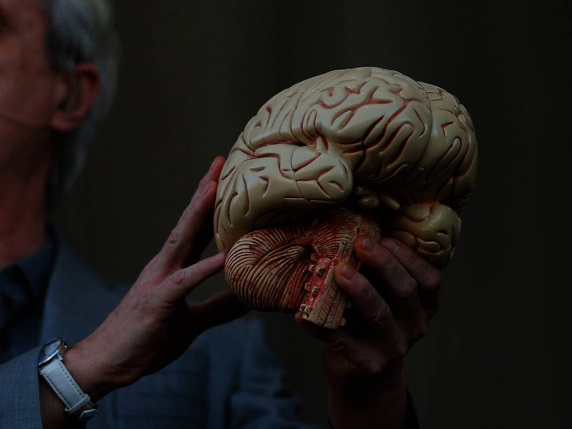 درس العلماء العلامات التي يتركها الدماغ داخل الجمجمة.