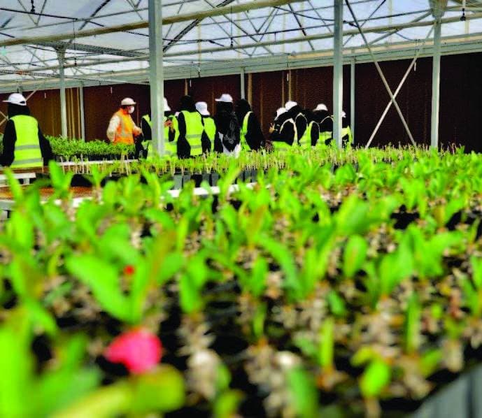 ارتفاع أرباح الخطوط الجوية الإثيوبية رغم التحديات