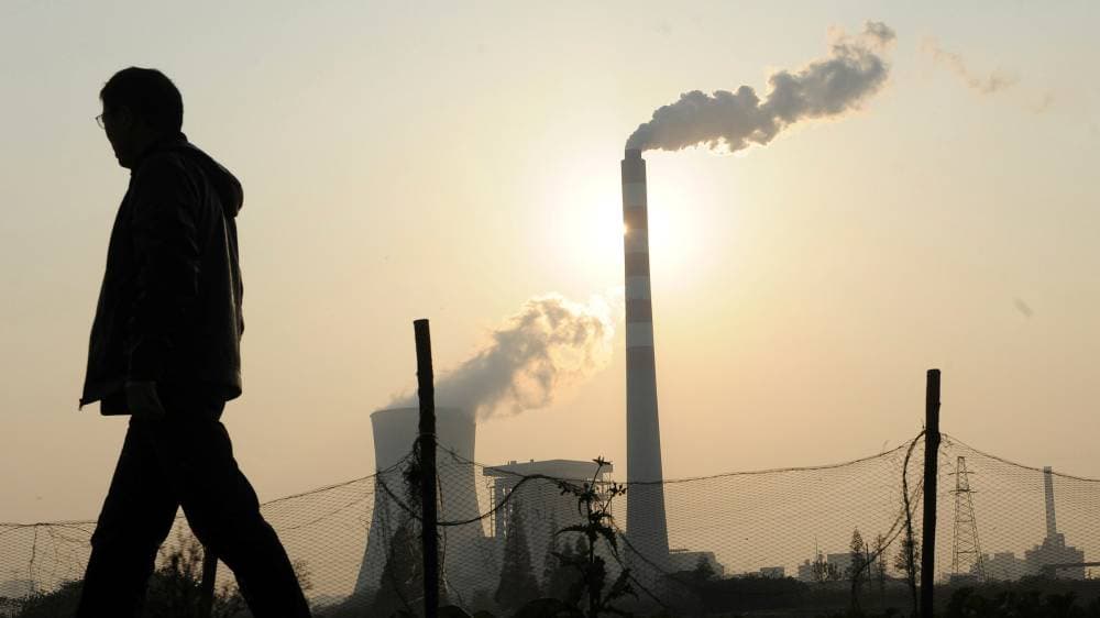 يبذل العالم الغني الآن محاولات على مهل لإنقاذ غابات الأمازون وإرسال لقاحات إلى الدول الفقيرة.