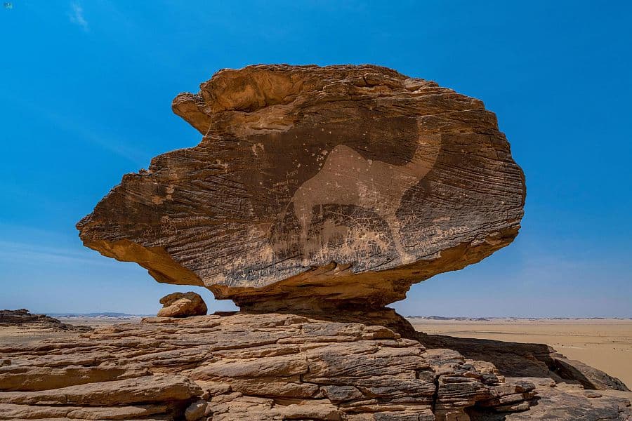 وزير الثقافة: تسجيل منطقة حمى الثقافية في قائمة اليونسكو للتراث العالمي