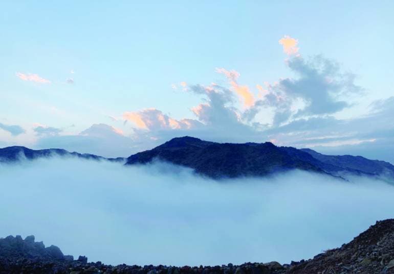 الفقرة بين الضباب واعتدال الأجواء .. متنفس أهالي المدينة المنورة وزوارها