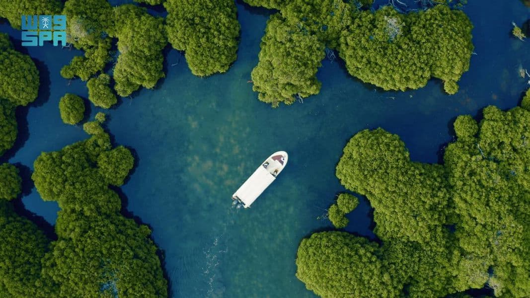 تسجيل محمية جزر فرسان في برنامج الإنسان والمحيط الحيوي في اليونسكو