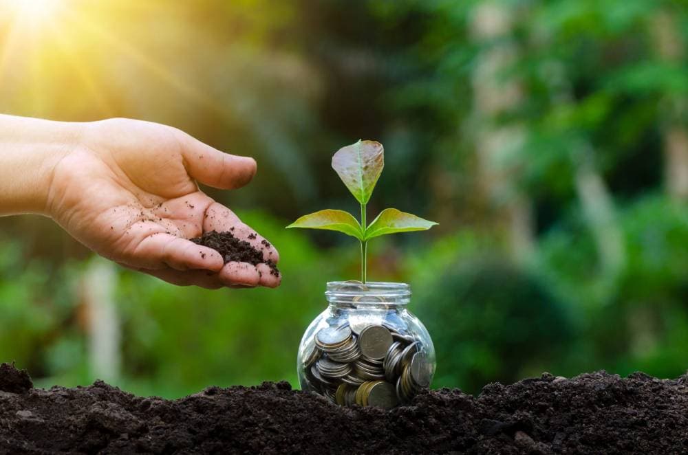 محللون : الاقتصاد الأخضر أمر مطلوب لكن قد يؤدي إلى ارتفاع معدل التضخم