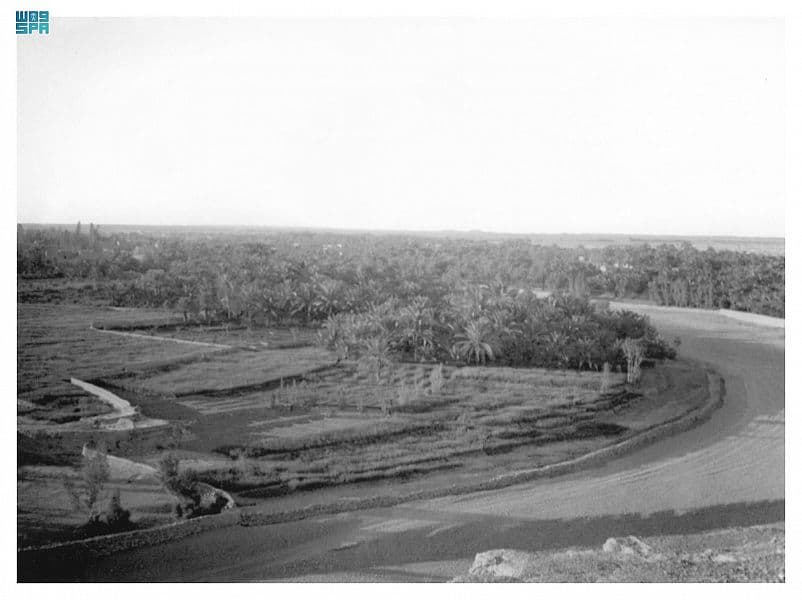 تأسيس "الدرعية" على يد مانع المريدي الجد الـ 14 للأمير محمد بن سلمان.. مرحلة تحول سياسية