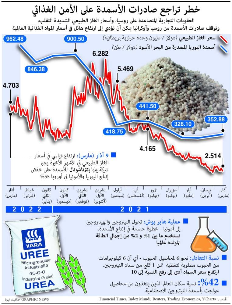 في أمالفي الإيطالية غاب السياح وحضرت الطيور والأسماك