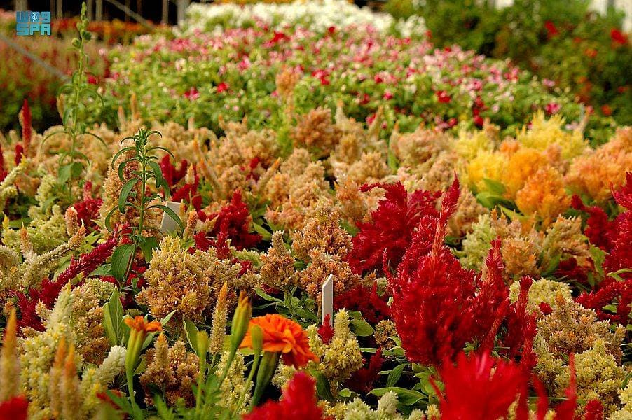 مجموعة العشرين تعقد الاجتماع الوزاري الأول في مجال مكافحة الفساد غدا
