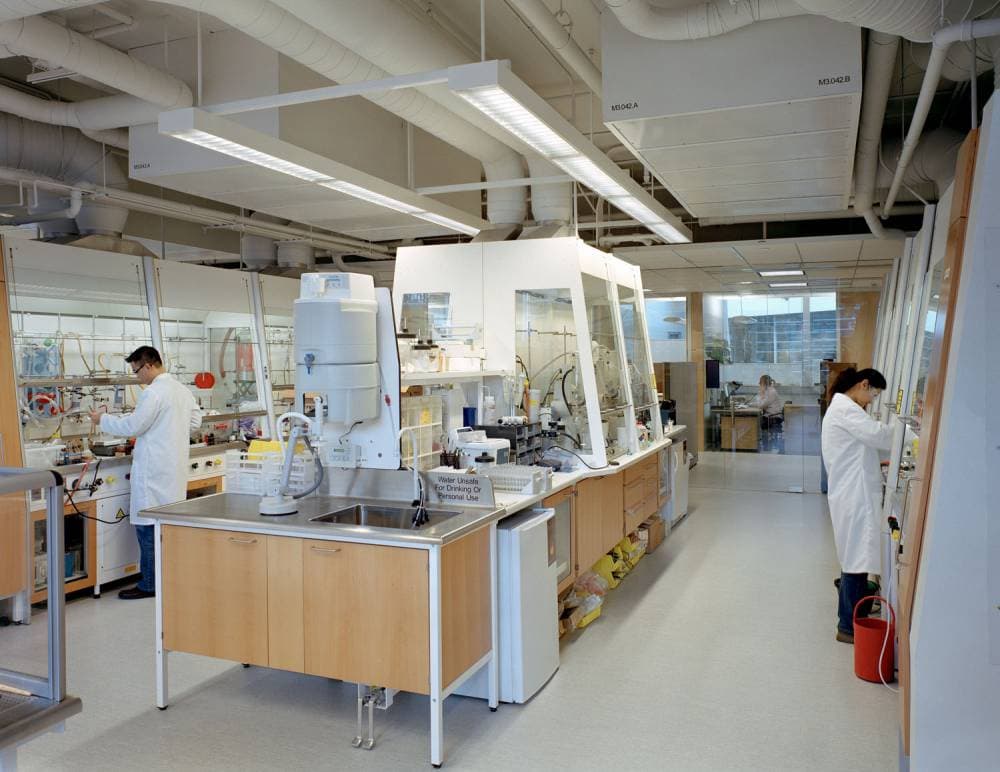 تكنولوجيا حديثة ونتائج مشرقة .. نهاية التجارب على الحيوان أصبحت ممكنة