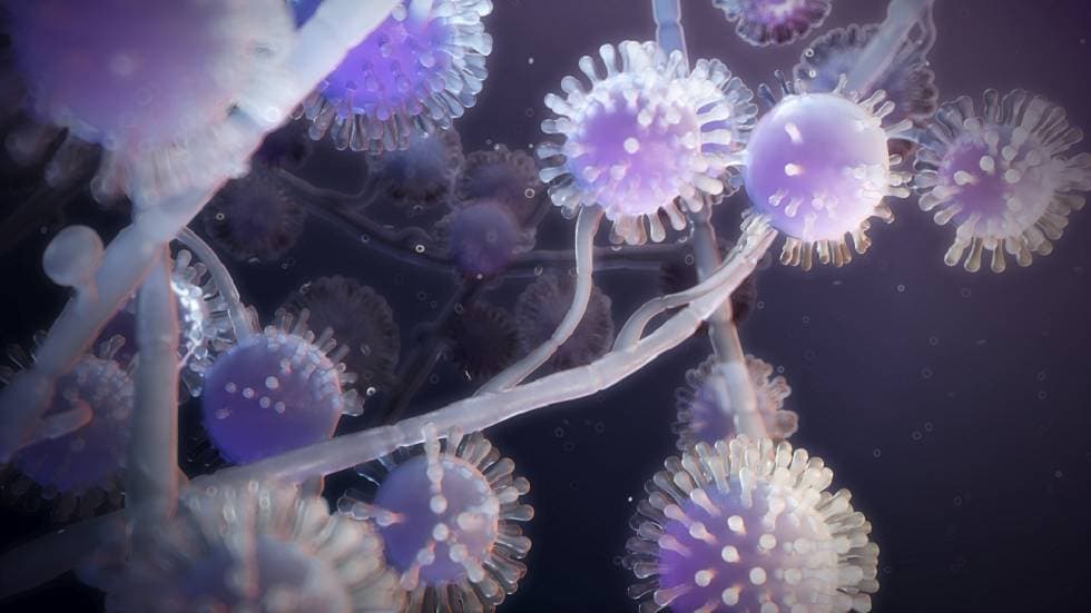 كيف عمل نظام سوق الكربون الجديد في الصين؟