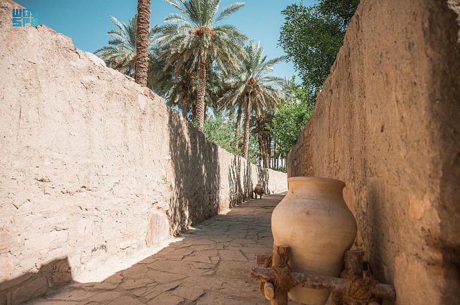 اطلاق مشروع لتفعيل مواقع تيماء التراثية التي يعود تاريخها إلى 90 ألف عام