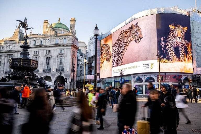 وزير المالية: قرار دمج “التقاعد” في “التأمينات” يعزز المركز المالي للصندوق التقاعدي
