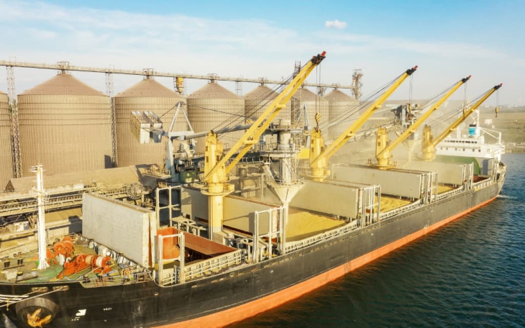 تمديد اتفاق حبوب البحر الأسود 60 يوما