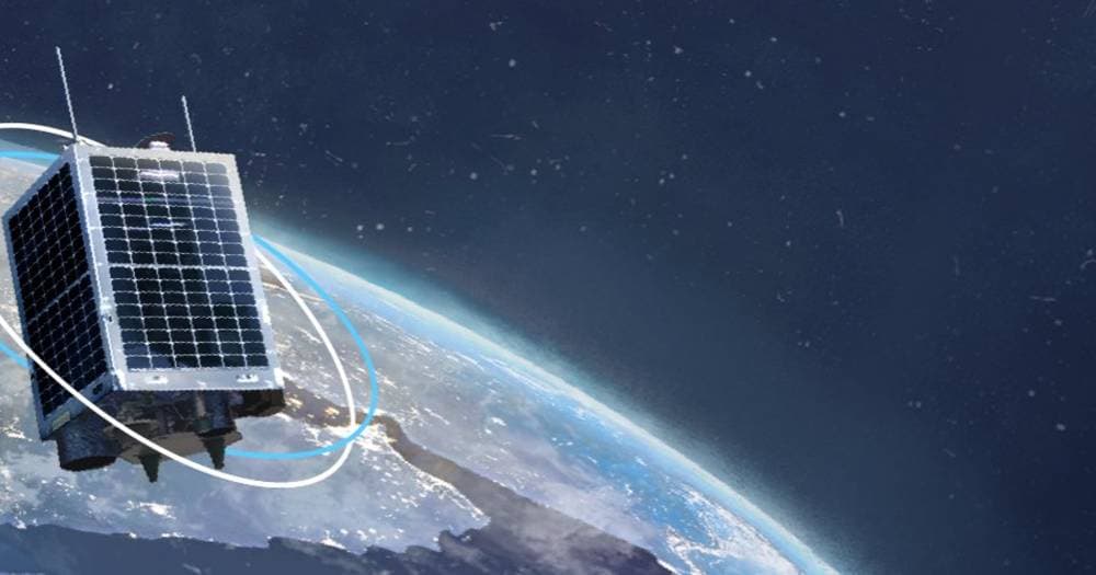 الهجن السعودية تخطف الأضواء في أول رموز مهرجان ولي العهد للهجن