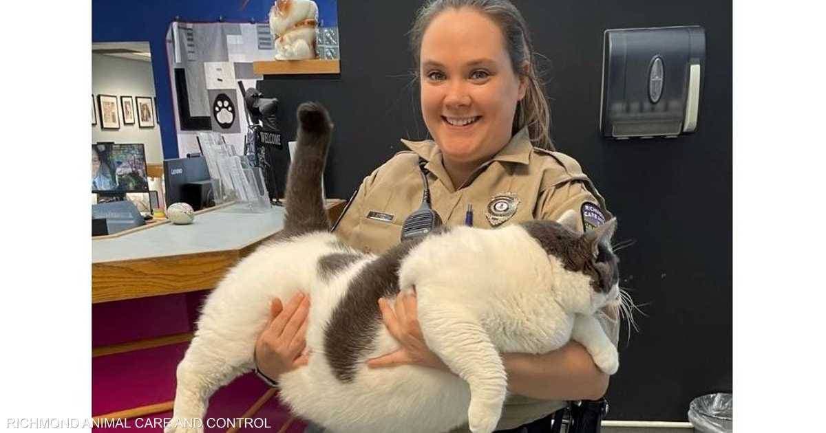 "جوجل" ترى المستقبل في النمط الهجين بين المكاتب والعمل من بعد