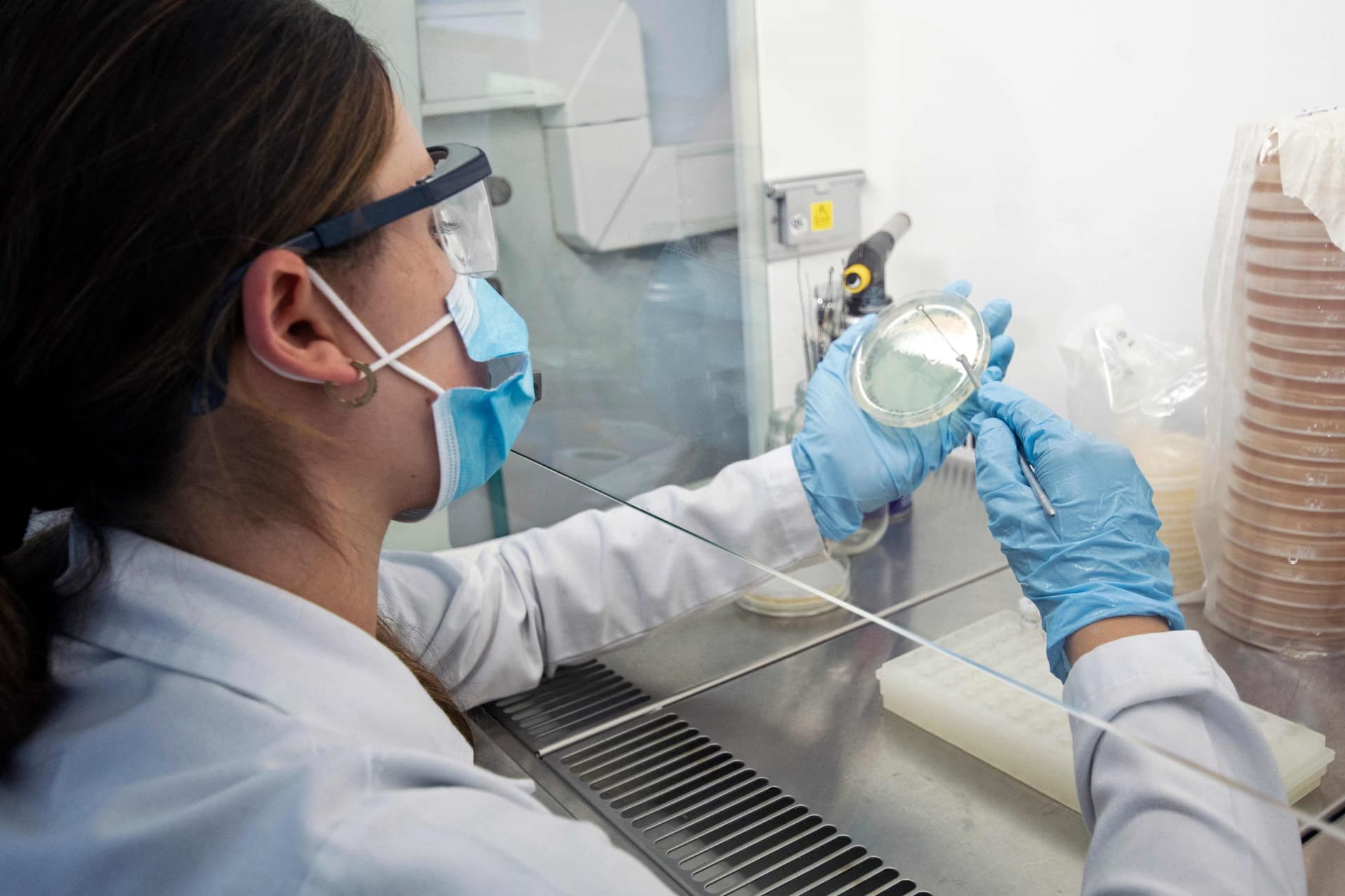 الكسلان الكوستاريكي يفتح طريقا جديدا للمضادات الحيوية في المستقبل