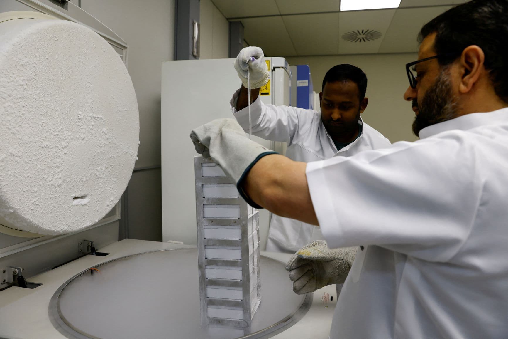 في الإمارات .. استنساخ الإبل لتلبية احتياجات السباقات ومهرجانات الجمال