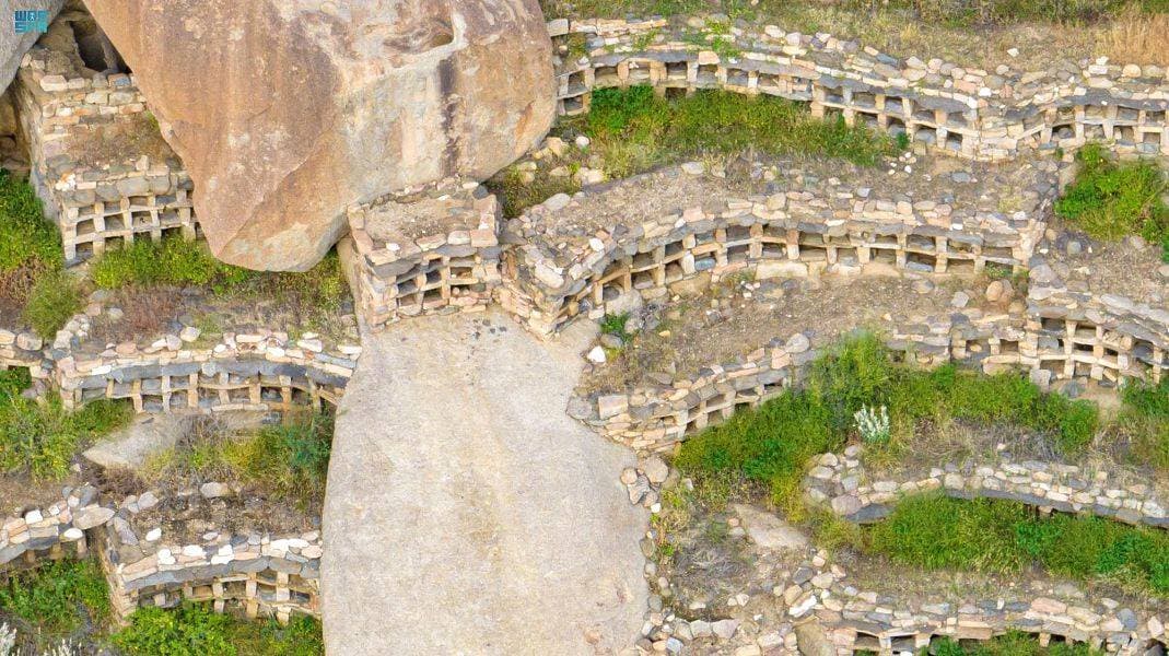 في مقاري النحل في أضم .. سياحة تاريخية تعود إلى 300 عام