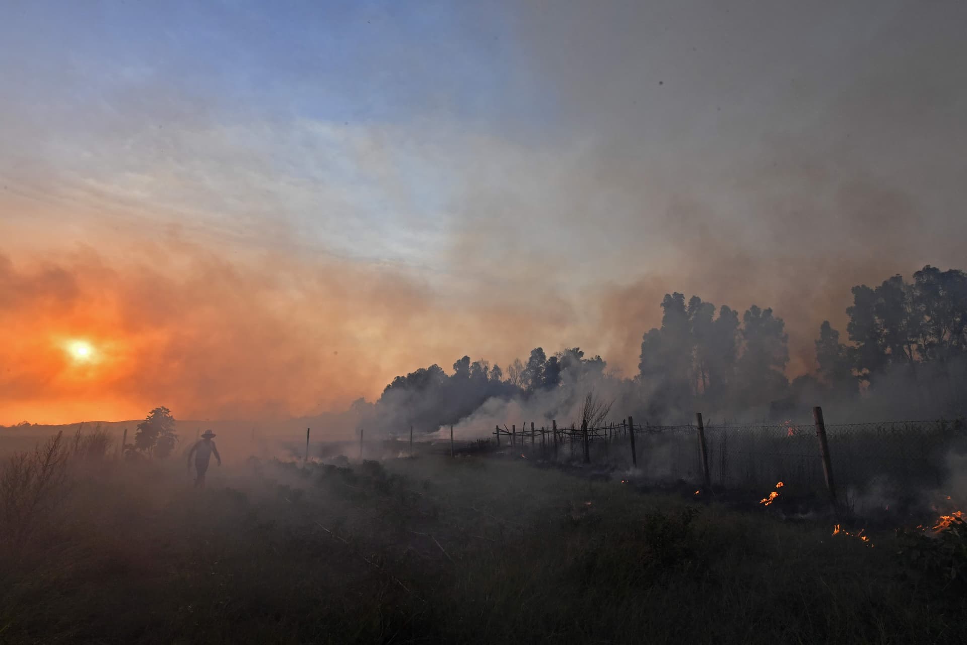 تونس تكافح لاحتواء موجة حرائق وسط حر شديد
