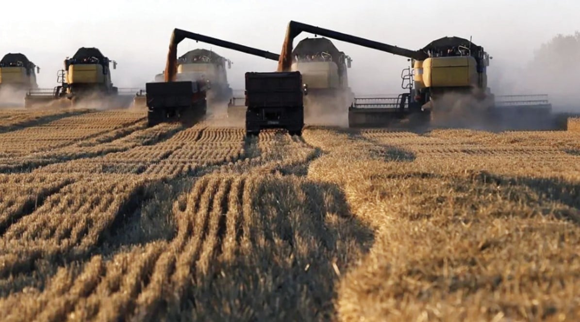 أسعار الغذاء عالميا عند أقل مستوى منذ أكثر من عامين