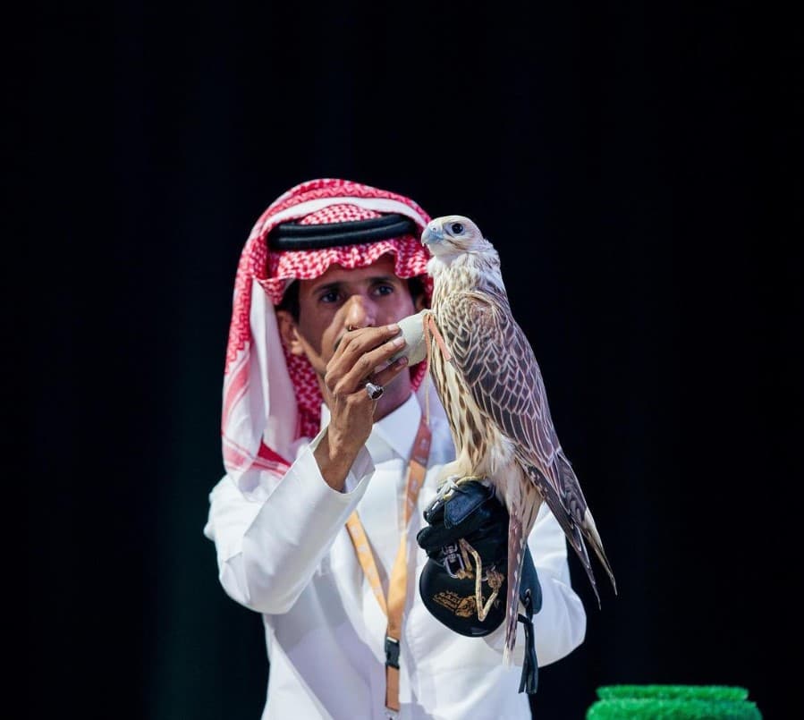 بيع أغلى صقر حر في الشرق الأوسط بنصف مليون ريال