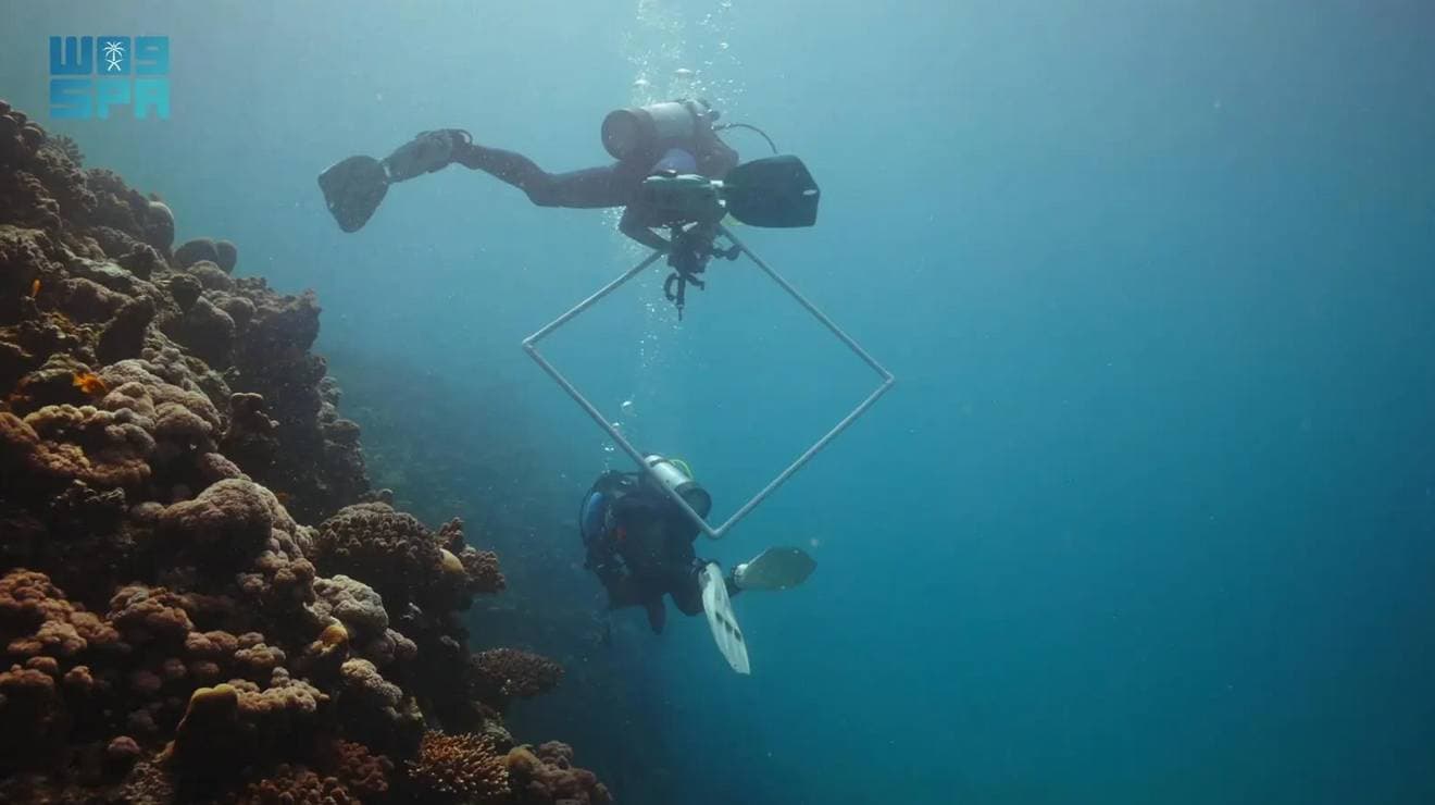 إطلاق برنامج بحثي لدراسة وتقييم الشعاب المرجانية في البحر الأحمر