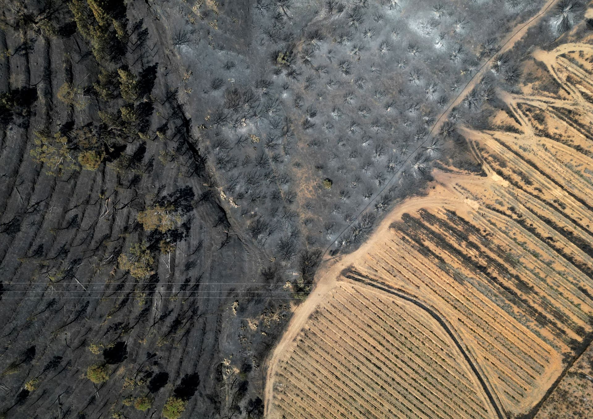 إسبانيا في حالة إنذار من الحرائق بسبب موجة الحر