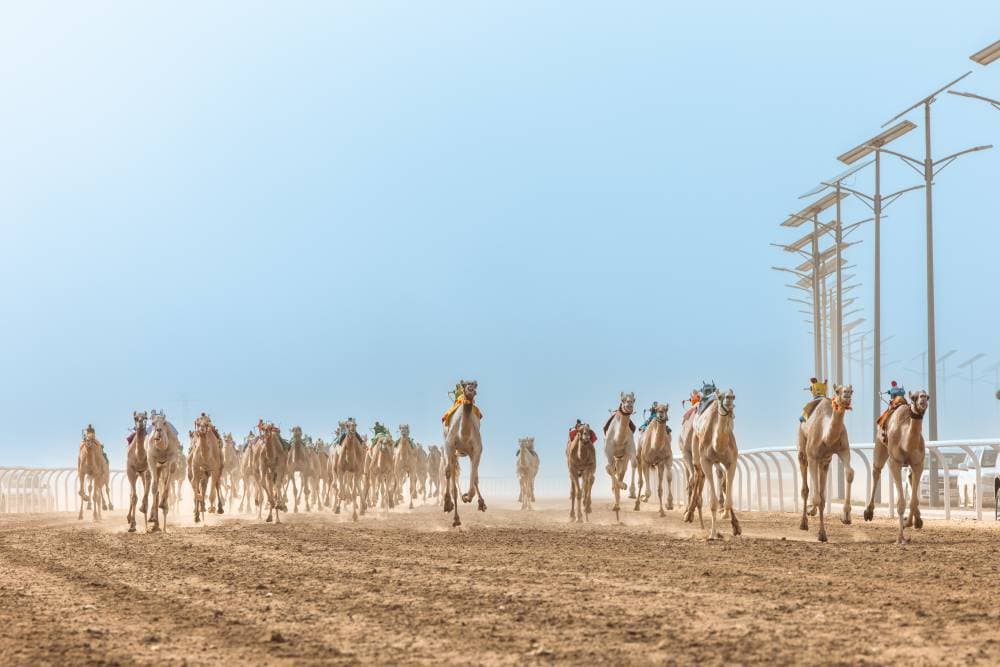 نمو السجلات التجارية لقطاع الترفيه والفنون في المملكة 906 % خلال 6 سنوات