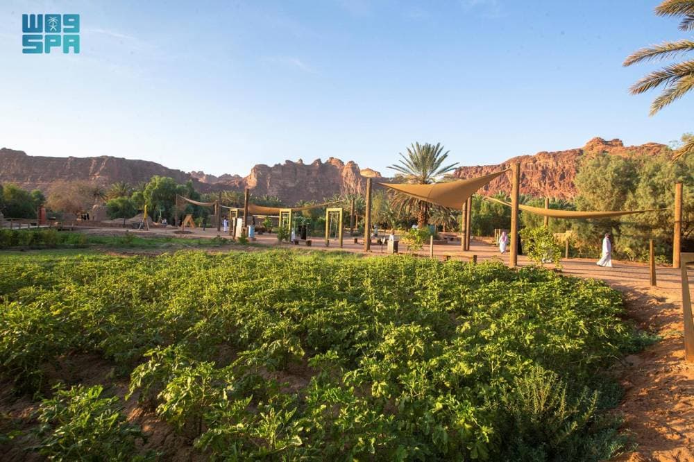 العلا .. اختيار مهندس عالمي لتصميم معهد الواحة الثقافية الزراعي