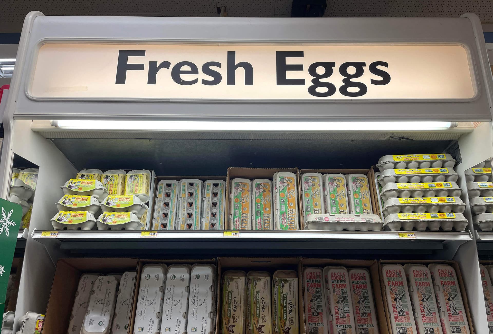 روسيا تعفي البيض من الرسوم الجمركية .. الأسعار ارتفعت 40 %