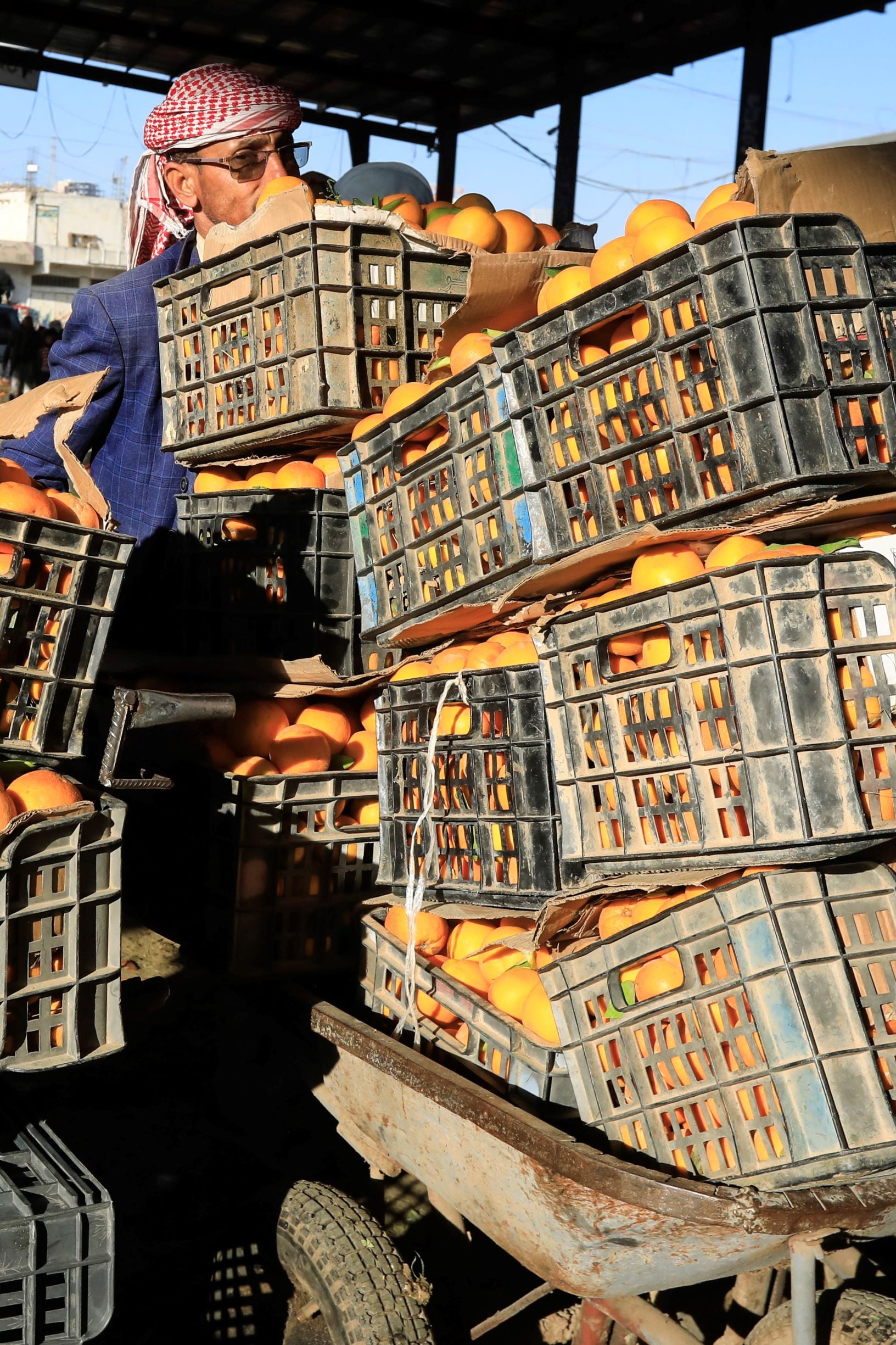 اليمن .. موسم اليوسفي والبرتقال