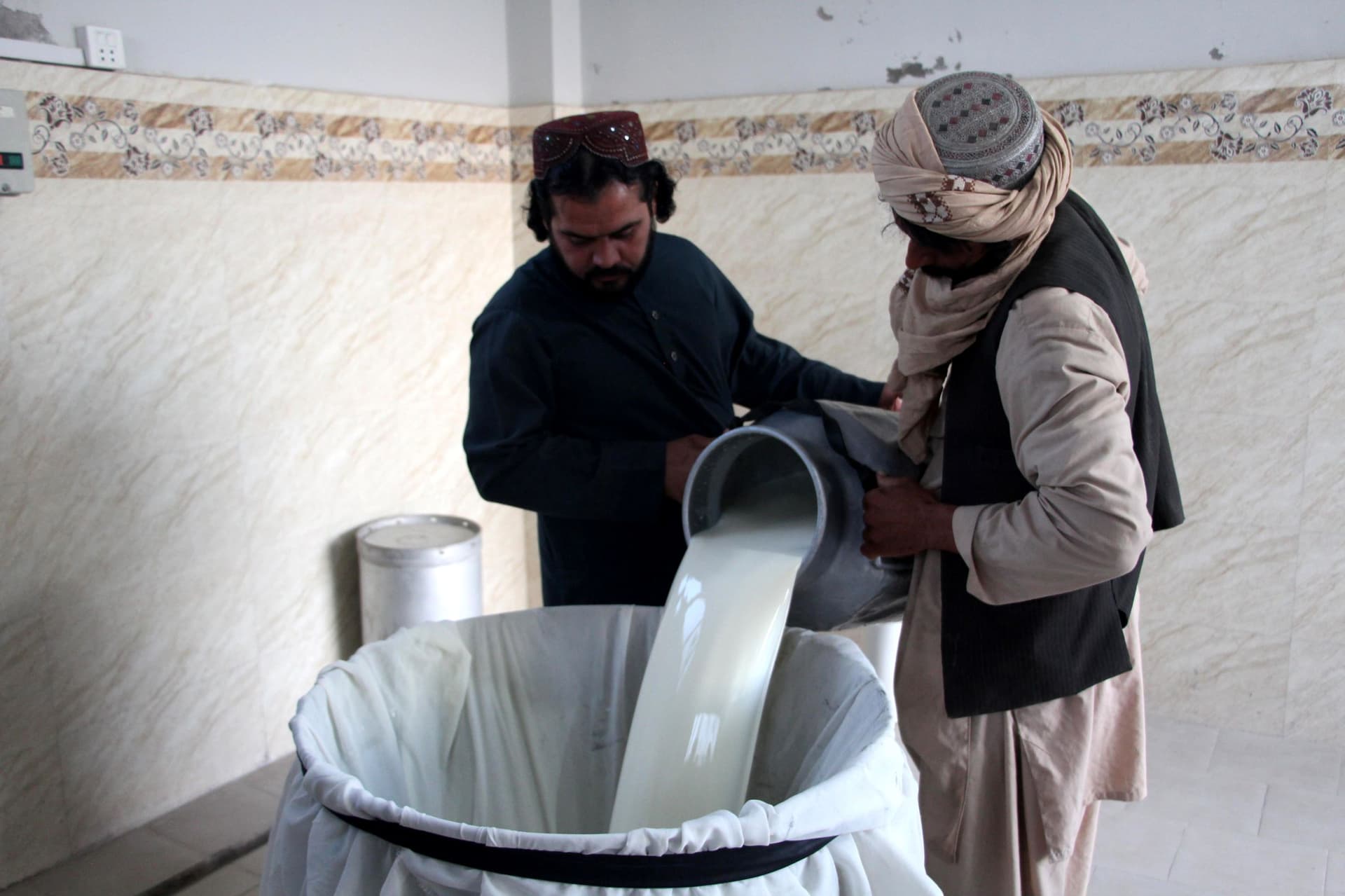 صناعة الألبان في أفغانستان