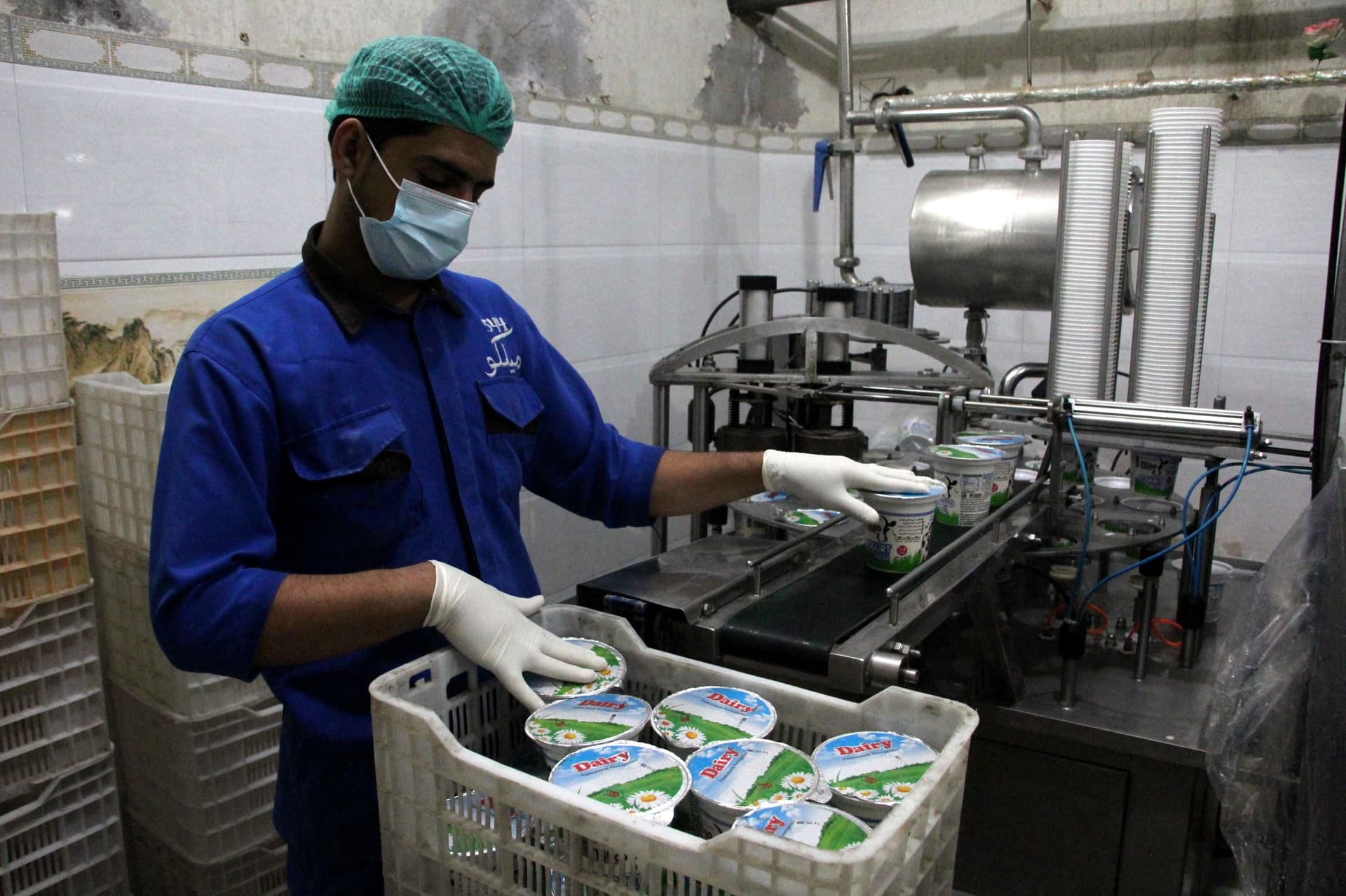 صناعة الألبان في أفغانستان