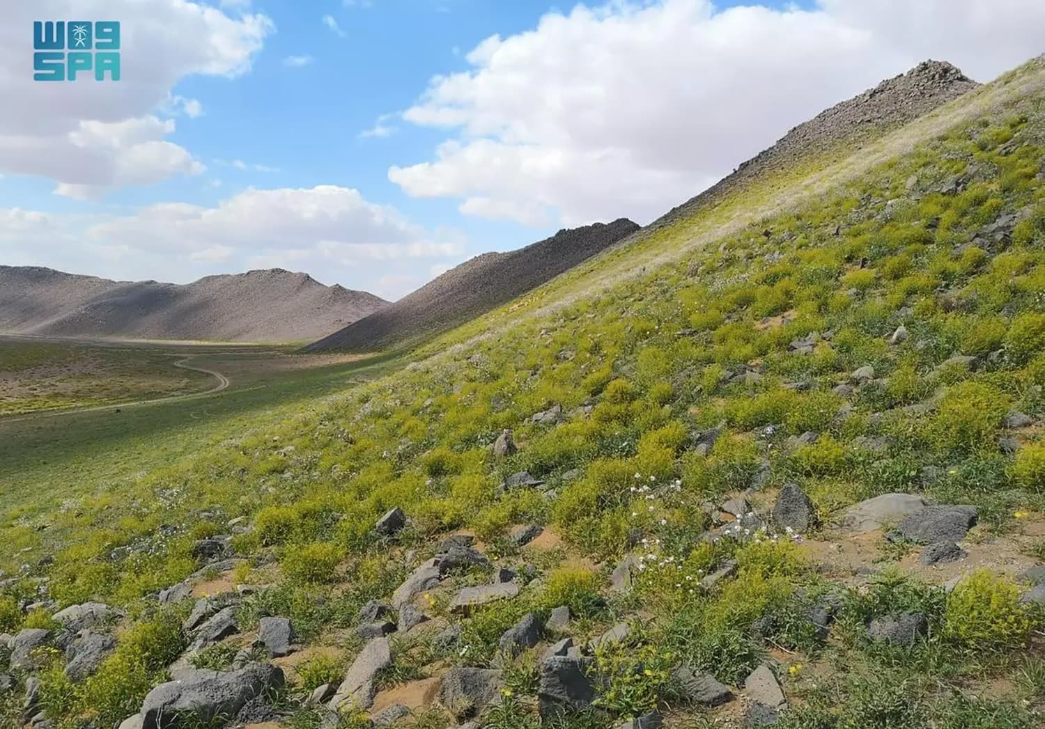 "حرة الحرة" من أقدم المحميات الطبيعية في السعودية