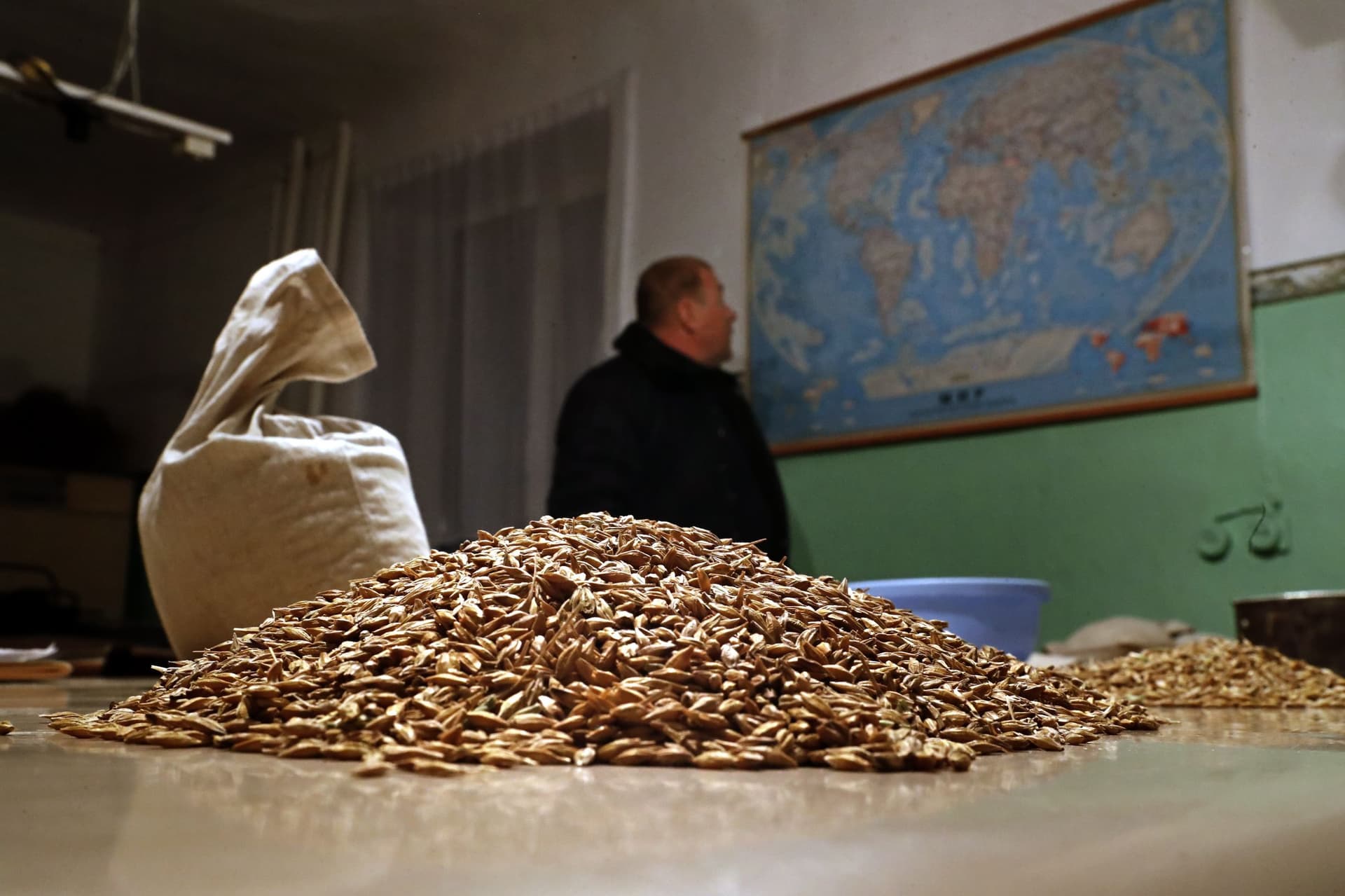 تطوير أصناف قمح مقاومة للظروف المناخية القاسية