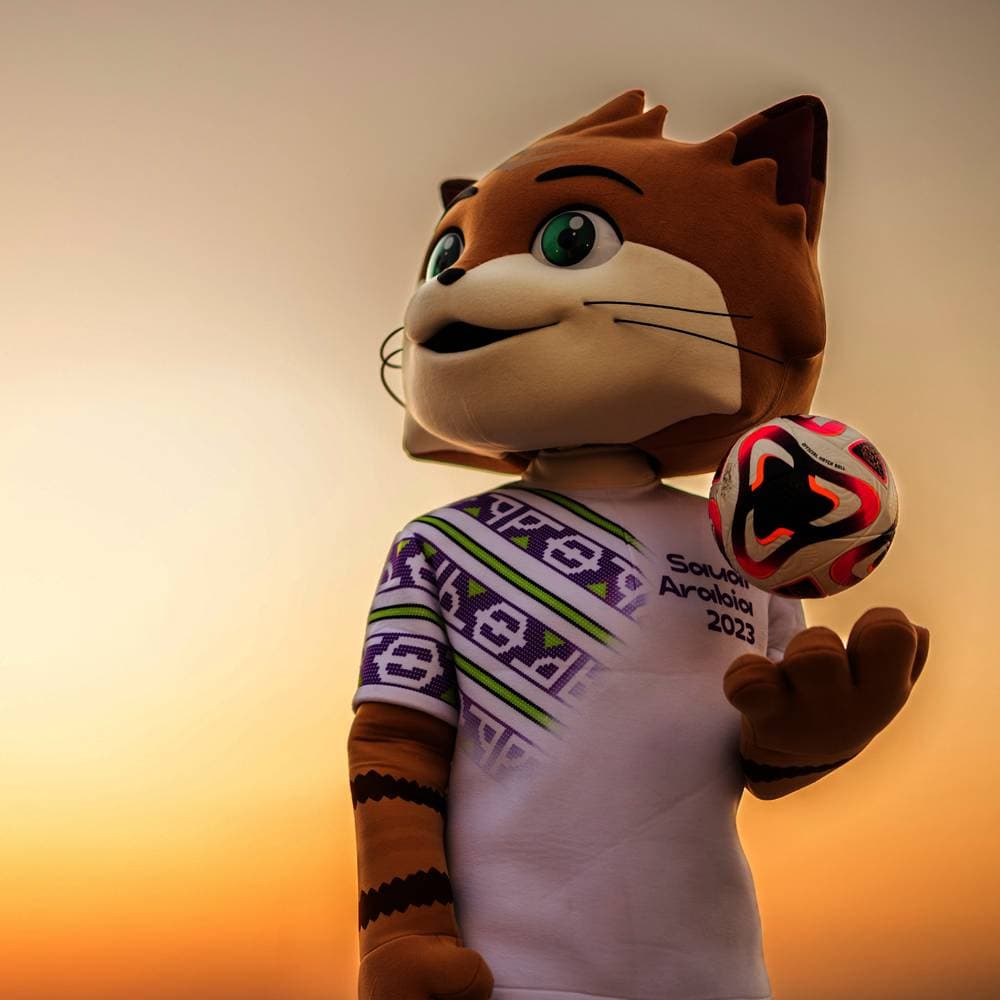 هالاند ونيكاوا .. الأطول بـ 195 سنتيمترا