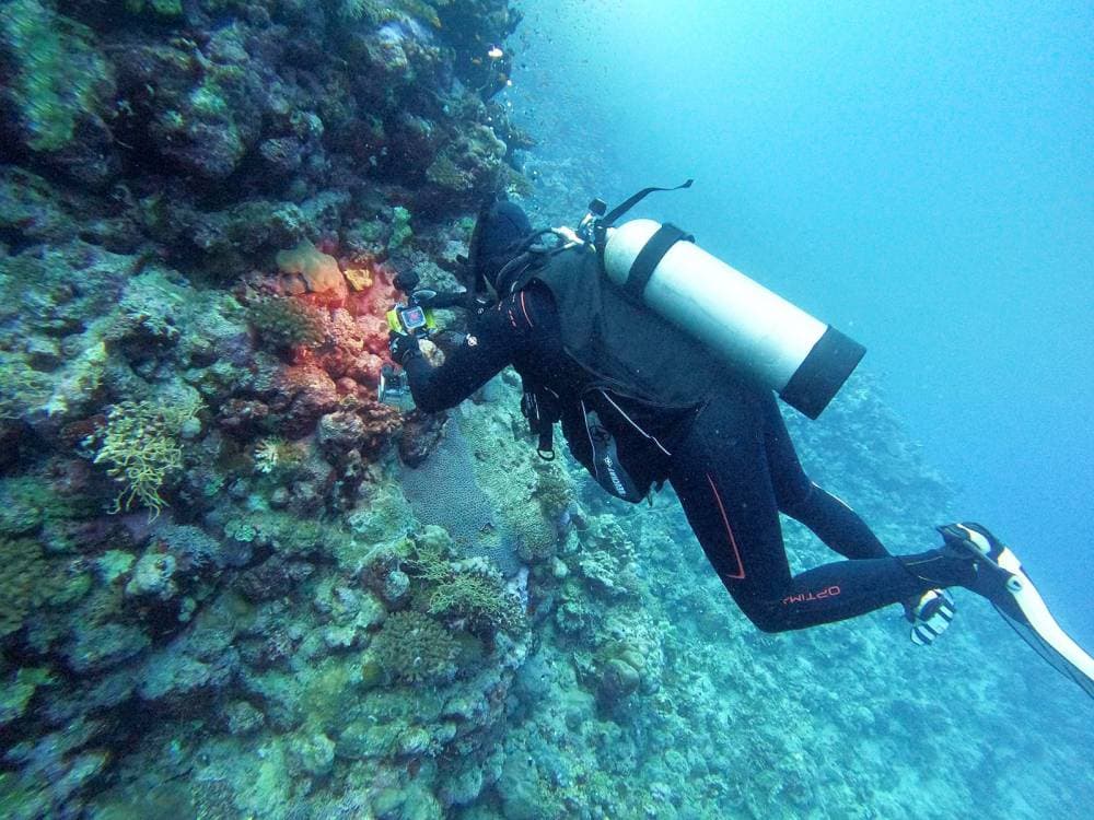 نفذ المركز الوطني لتنمية الحياة الفطرية 3 مبادرات رئيسة في "السعودية الخضراء" تتمثل في التوسع والإدارة المتكاملة للمناطق المحمية. "واس"