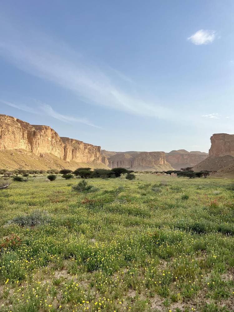 18.1 % نسبة المحميات البرية و6.48 % «البحرية» من مساحة السعودية خلال 2023