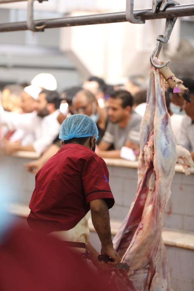 استقدام 17433 عاملا موسميا من الخارج، من جزارين وعمال وأطباء بيطريين.